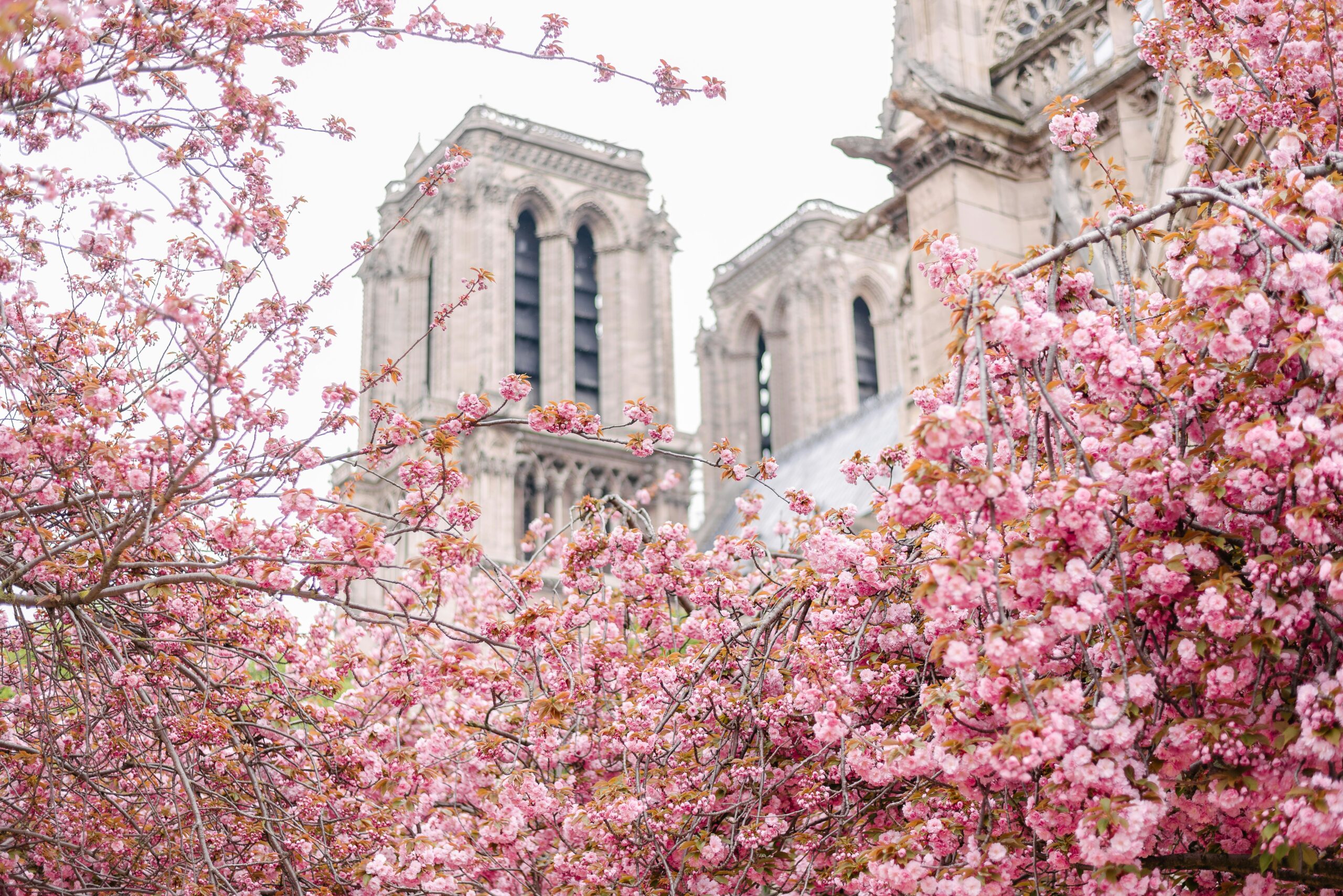 Le più belle città europee da visitare in primavera: 6 mete imperdibili